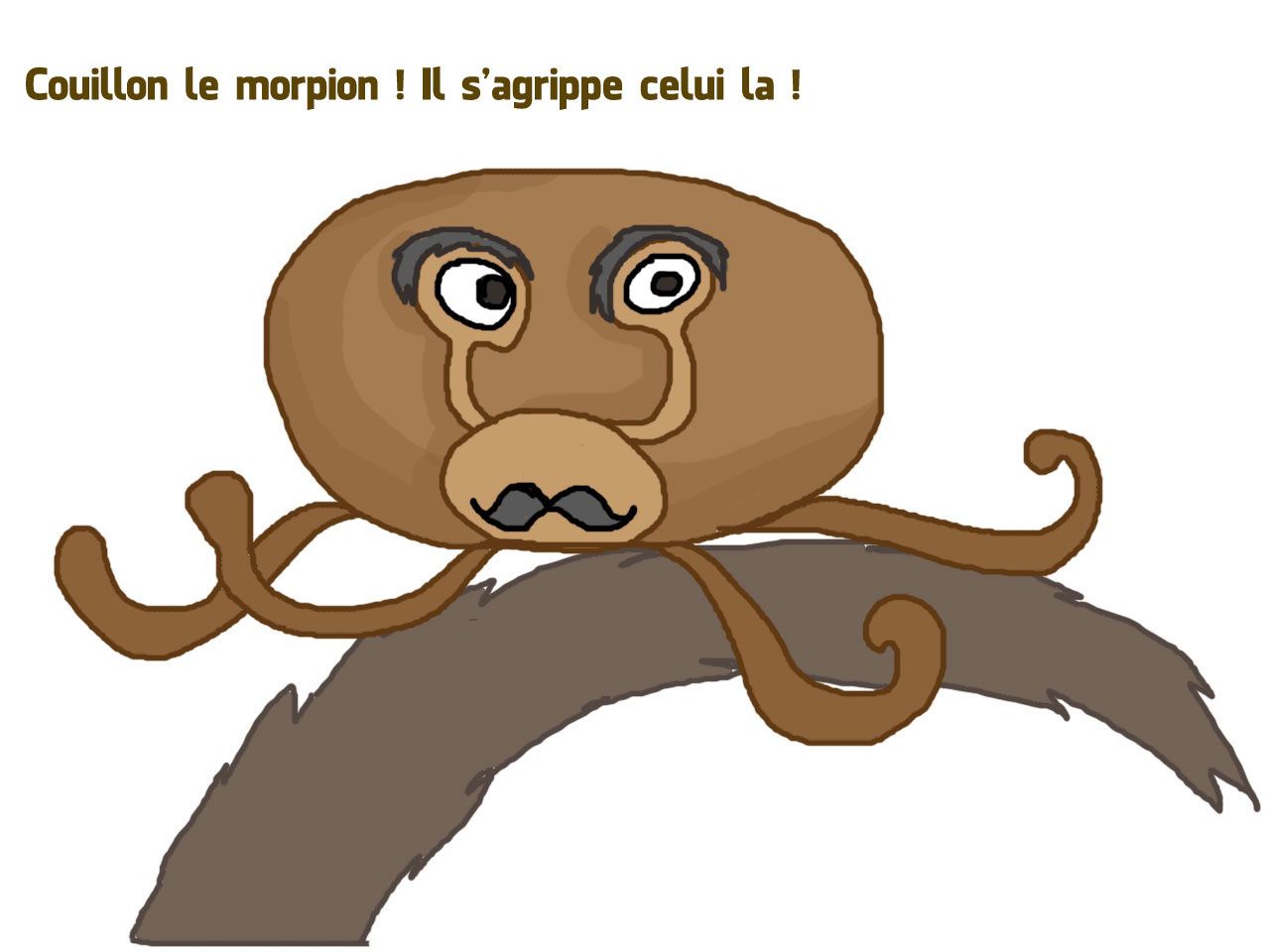 sa pu du cul
