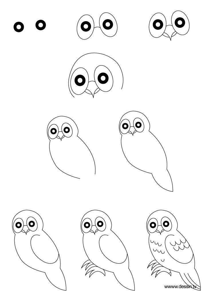Apprendre A Dessiner Une Chouette Un Hibou Dans La Bulle De Vanessa