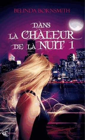 Rencontre de nuit - une passion en danger