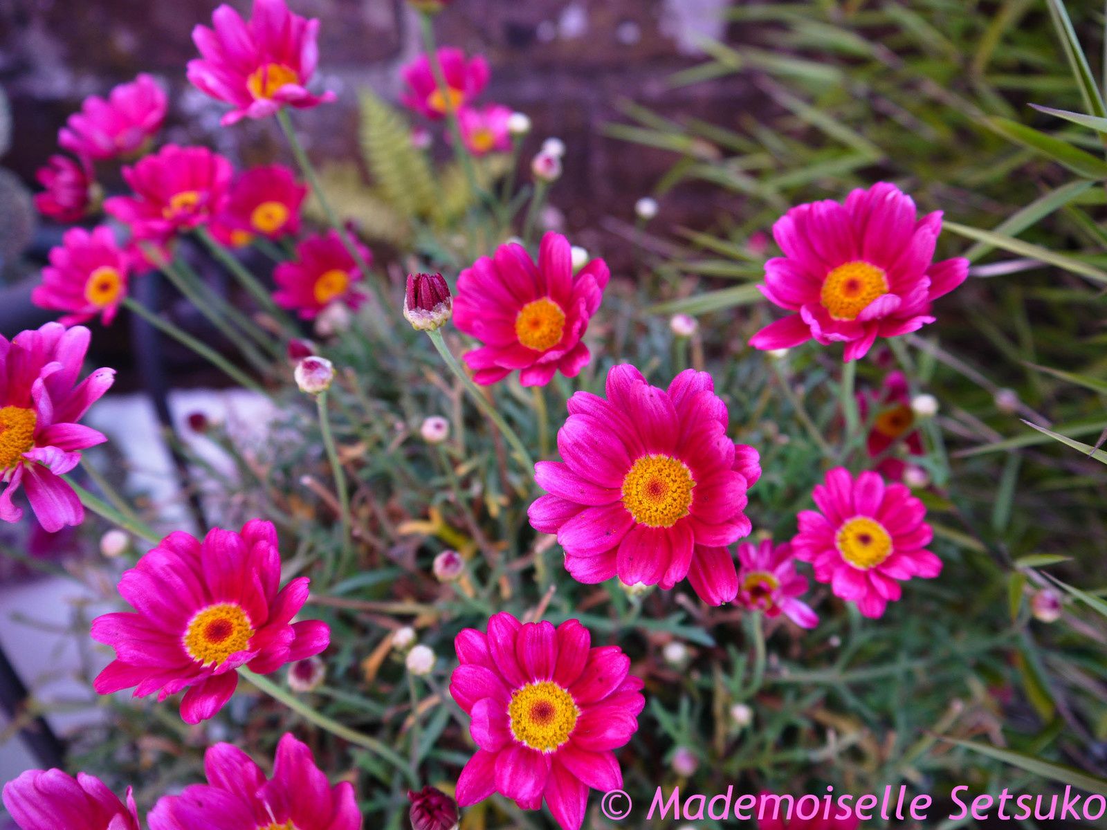 Tout le monde en terrasse !