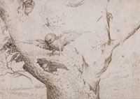 Jheronimus Bosch, Le Nid de hiboux, vers 1505-1515. Plume et encre brune, 141 x 197 mm. Museum Boijmans Van Beuningen, Rotterdam (Collection Franz Koenigs) 
