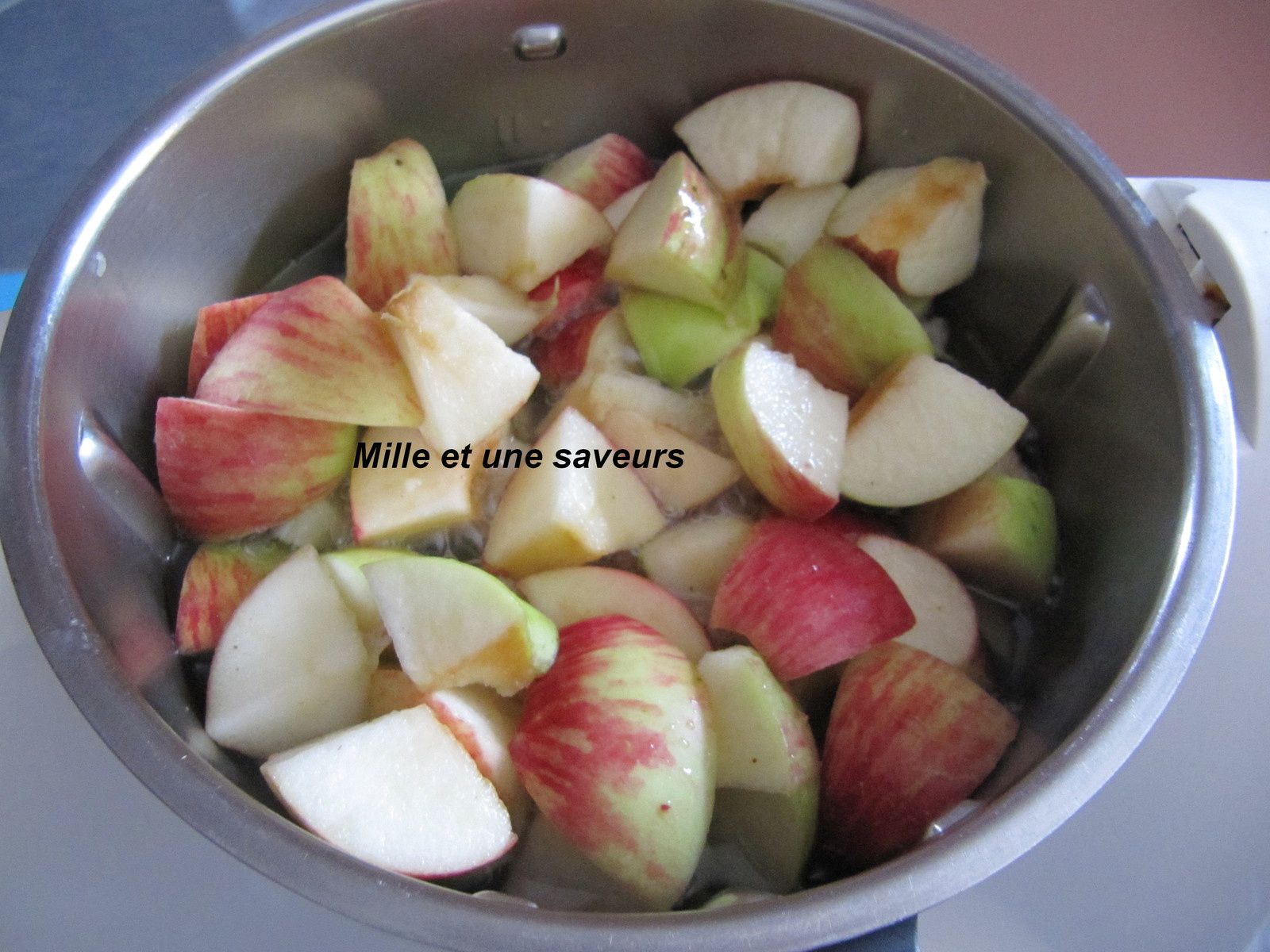 Jus de pomme au Thermomix {100% pommes} • Yummix !