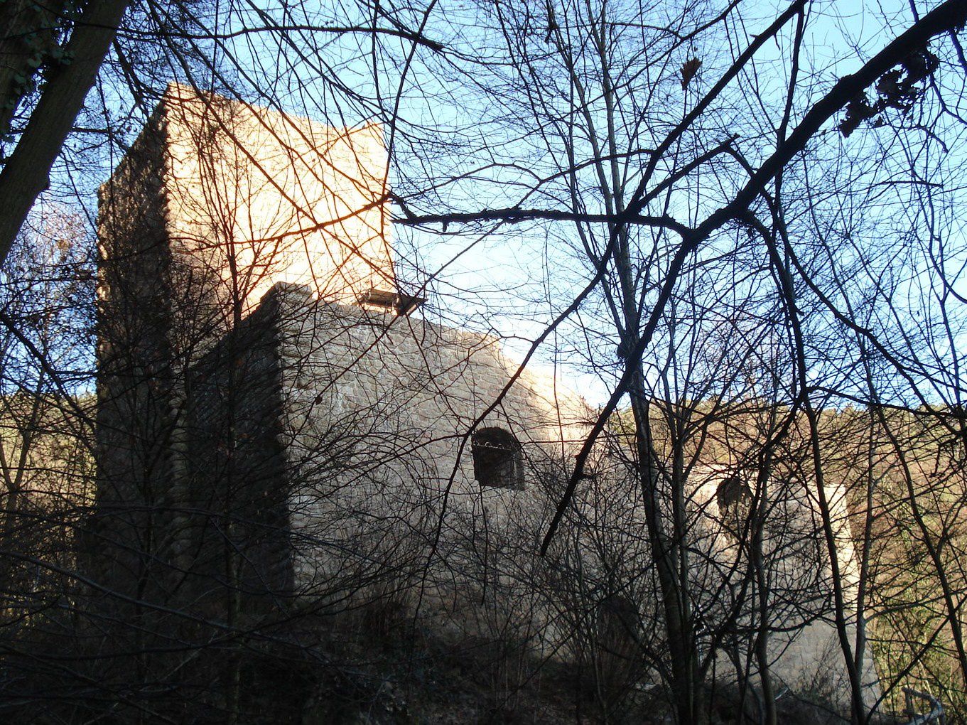 Le château du Hagueneck, janvier 2012