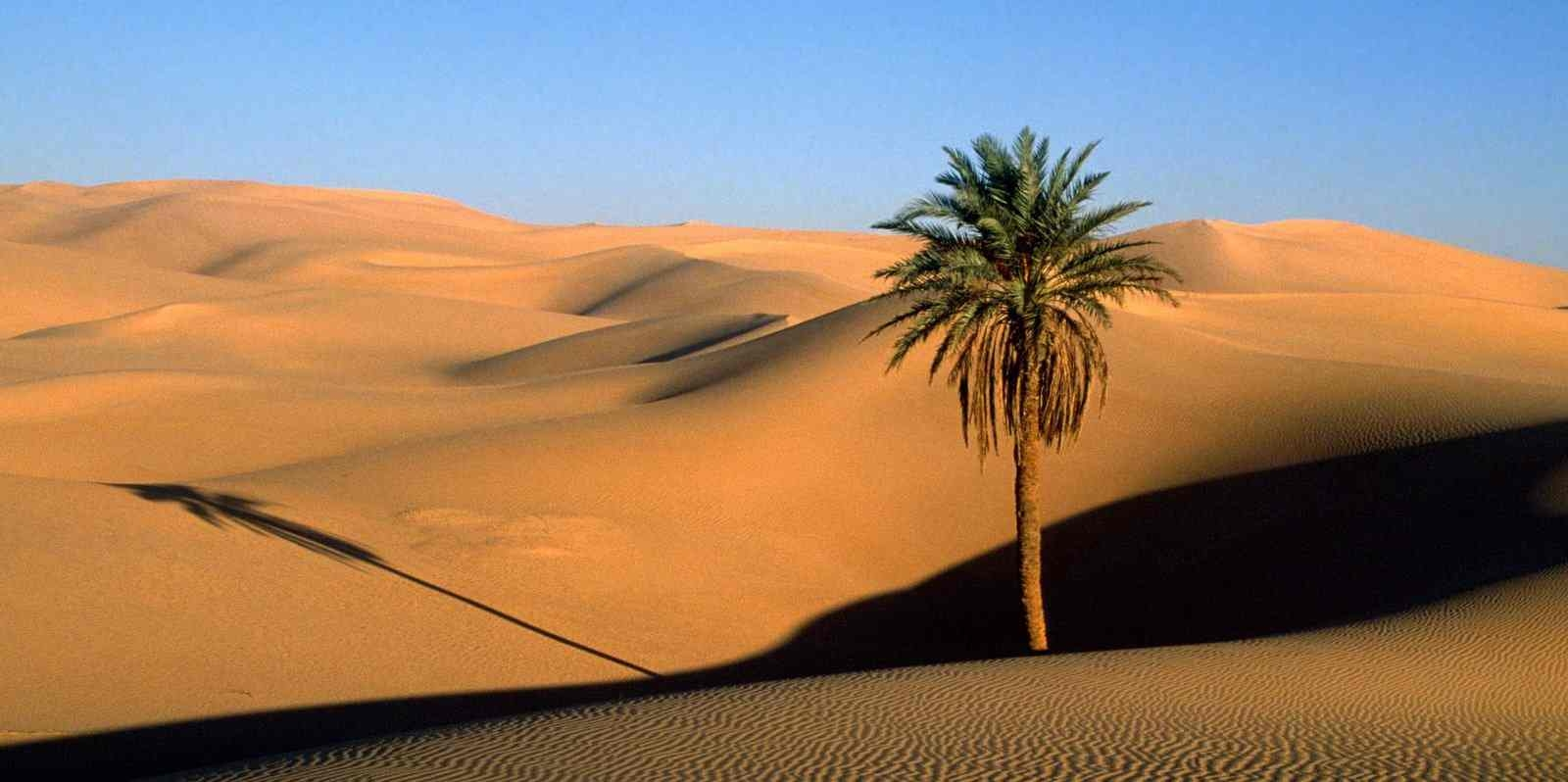 Jésus fut emmené au désert pour être tenté.