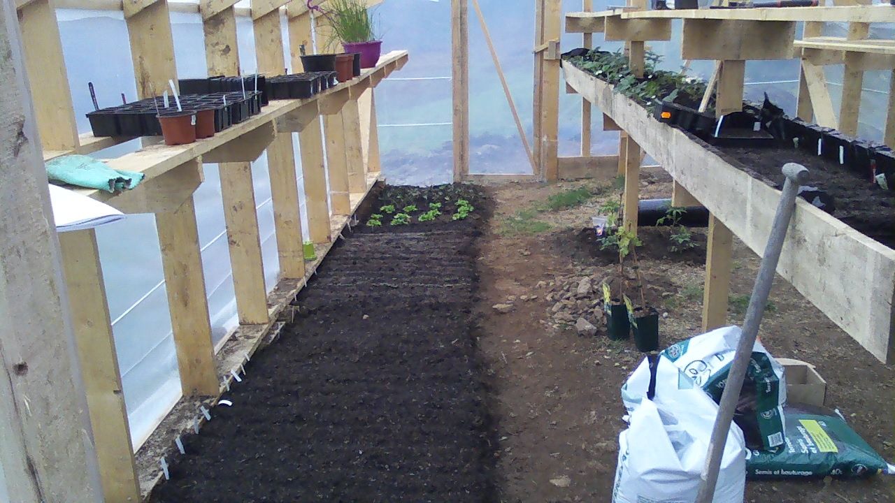La serre autoconstruction de notre maison autonome