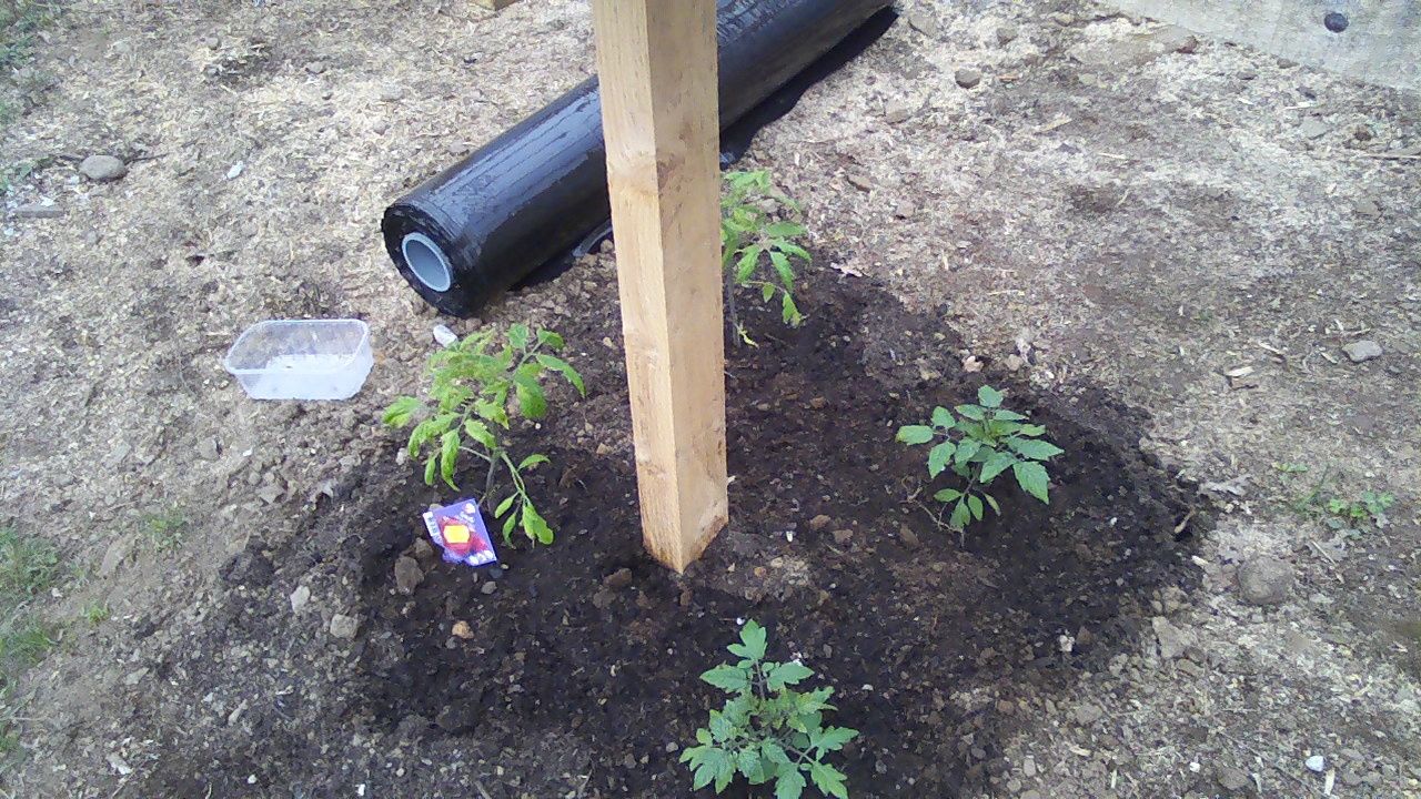 La serre autoconstruction de notre maison autonome