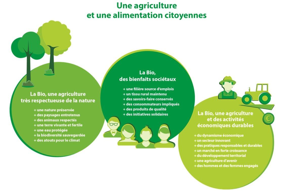 L’agriculture biologique  naturellement respectueuse de l