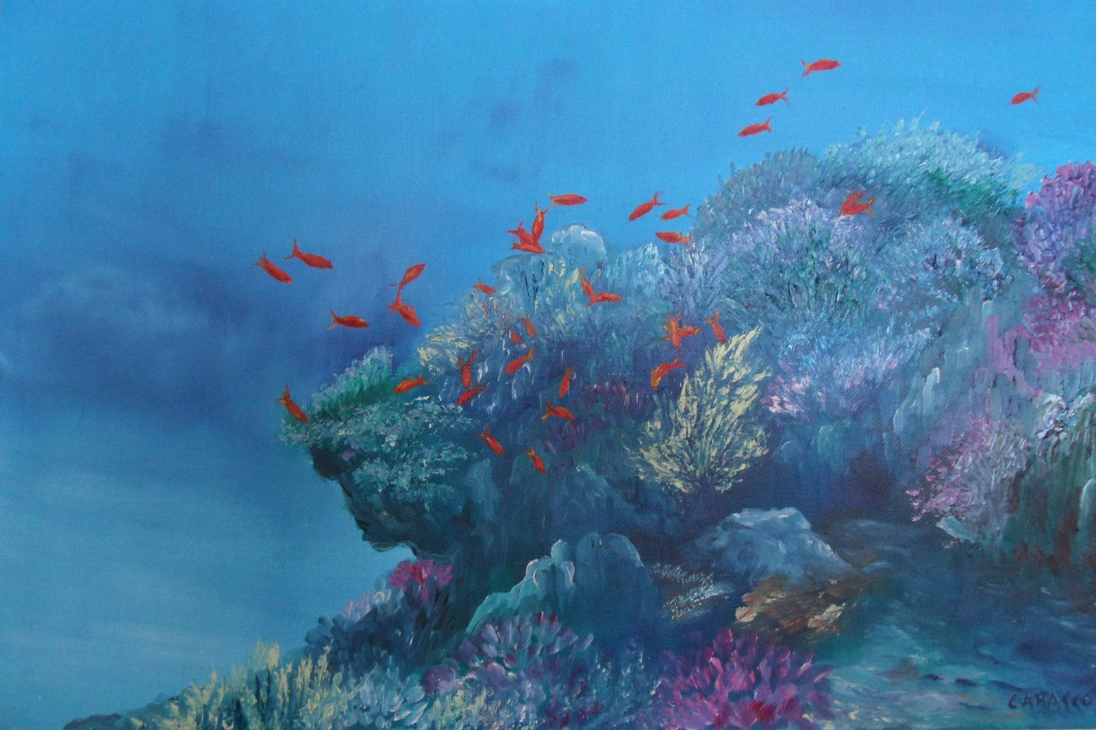 Paysage marin Mer rouge