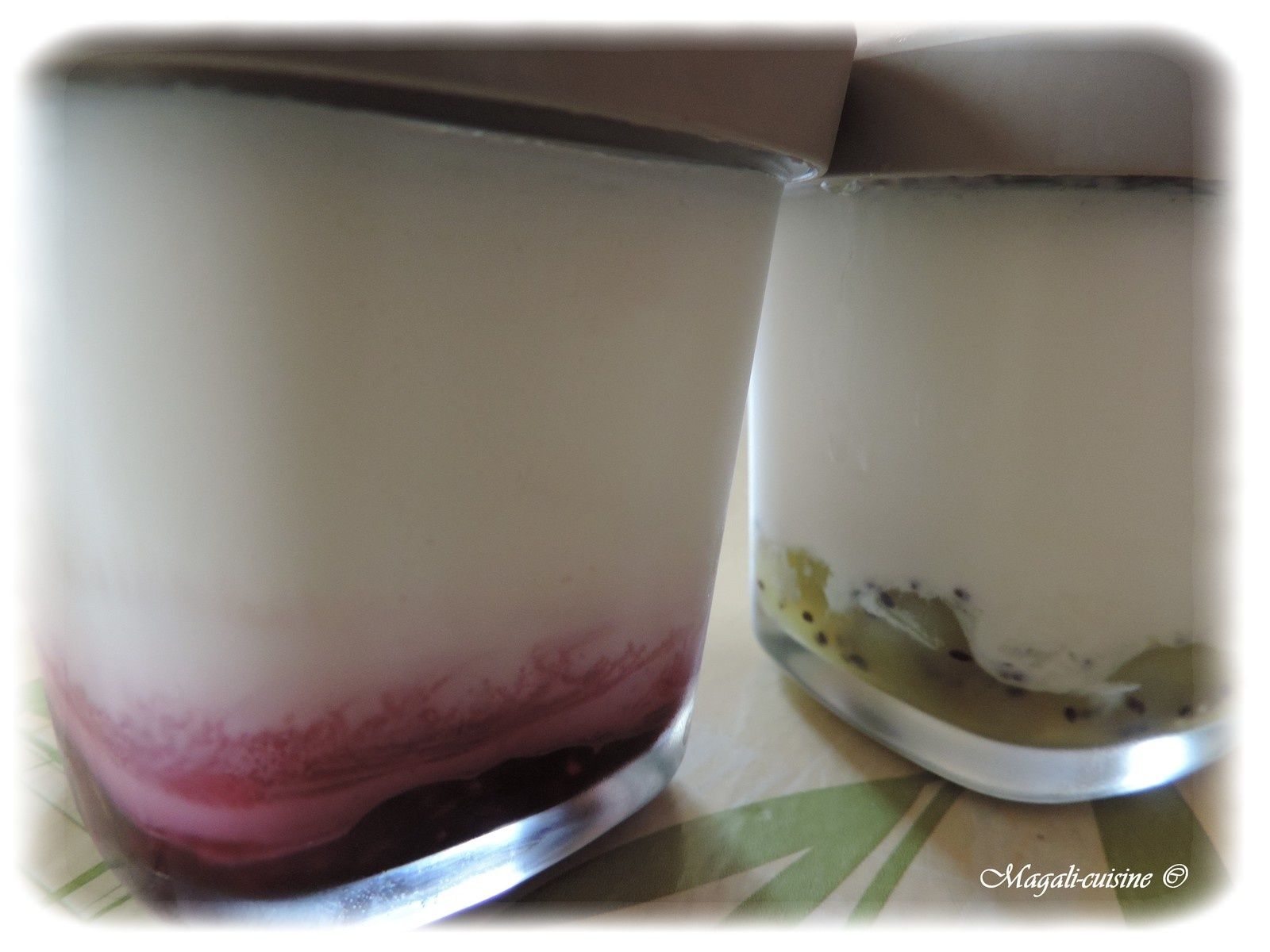 Yaourts aux fruits avec la yaourtière SEB multidélices Magali cuisine