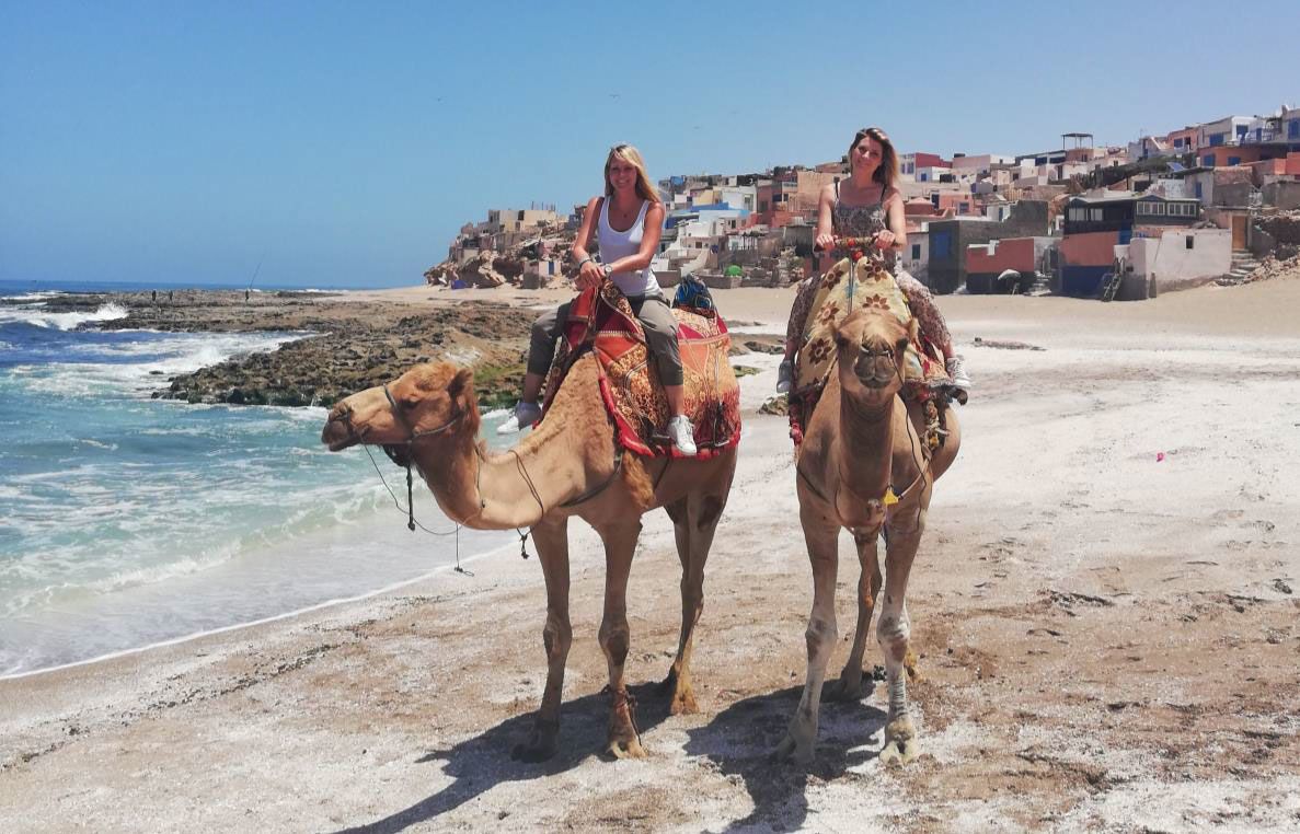Les Animaux De La 8 Elodie Ageron Élodie Ageron et Sandrine Arcizet s'installent au Maroc avec "Les
