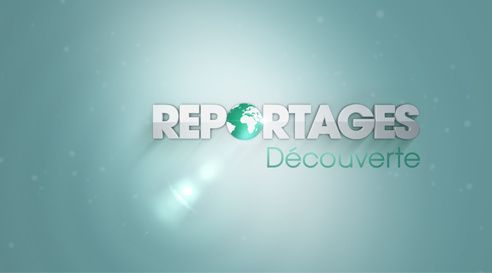 Les fondus du chocolat dans "Reportages découverte" sur TF1