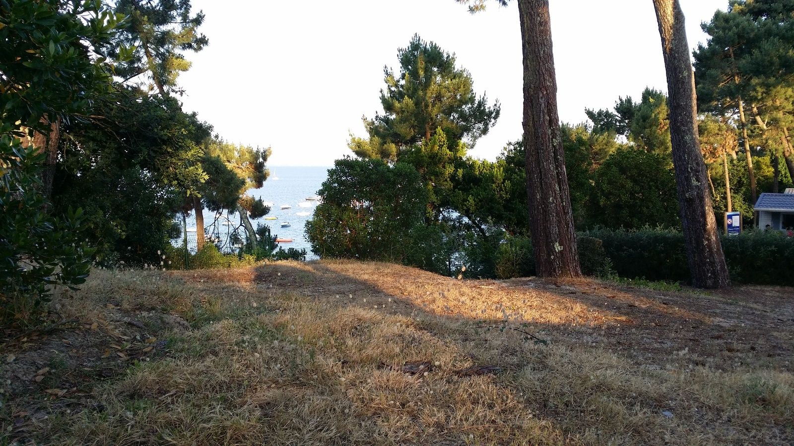 rencontres lege cap ferret
