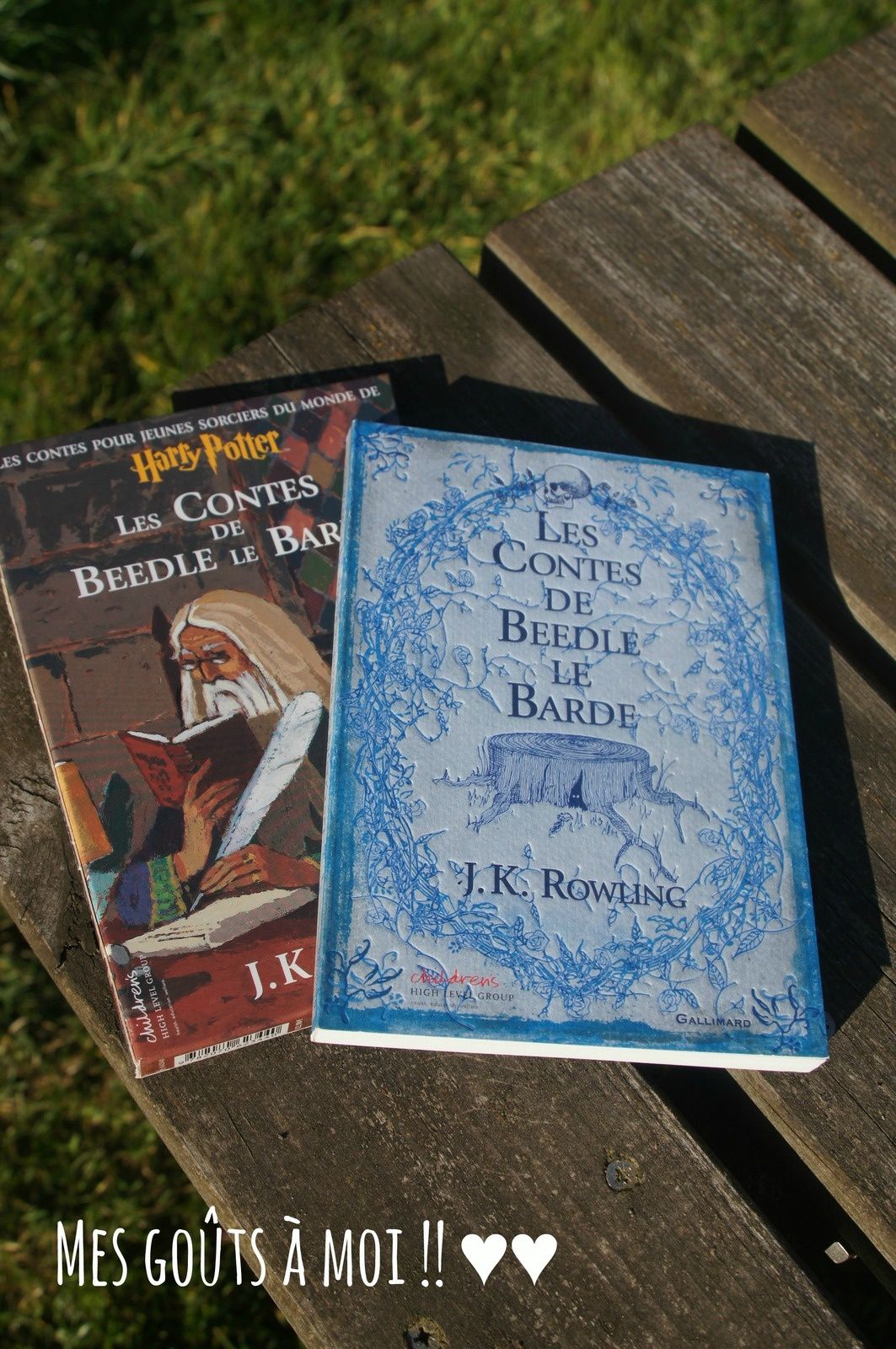 Le Vieux Qui Ne Voulait Pas Fêter Son Anniversaire Livre Top 10 des livres à lire absolument ! - Mes goûts à moi