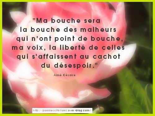 Dissertation ma bouche sera la bouche des malheurs 04 picture