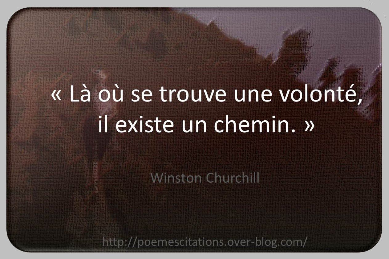 Citations: J'essaie de t'oublier mais..  Citation shakespeare, Citation,  William shakespeare