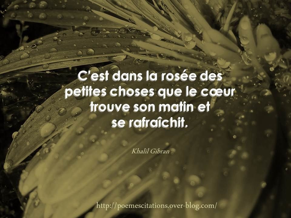 C�est dans la rosée des petites choses que&hellip; Poèmes et