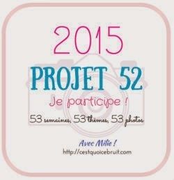 # Projet 52 - 2015 - Semaine 24 - Chez moi