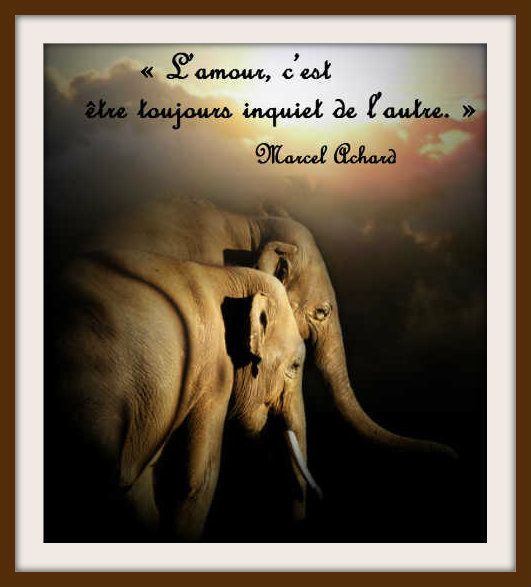 Amour Citation Le Monde De Marisyla