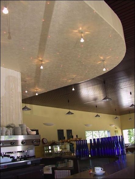 Starry Sky Ceiling Light Illuminated Signs Led Light