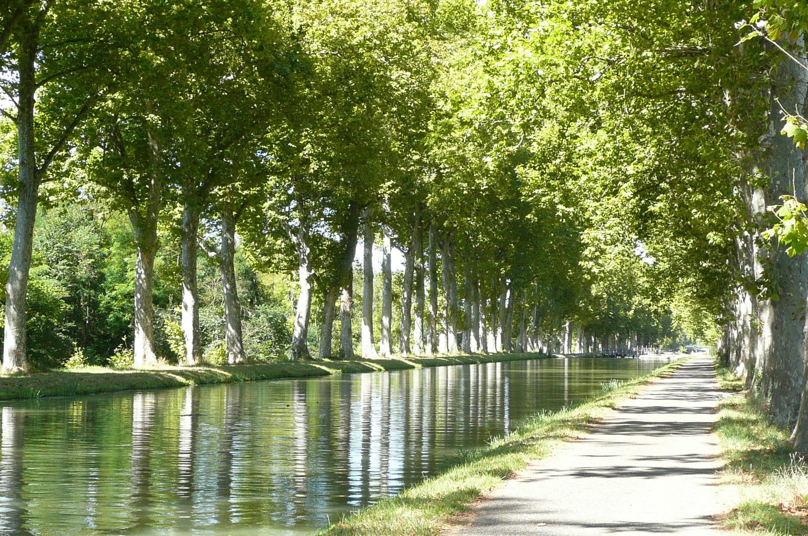 Montech : Un canal extraordinaire, frais et reposant ... surtout quand il fait très chaud !