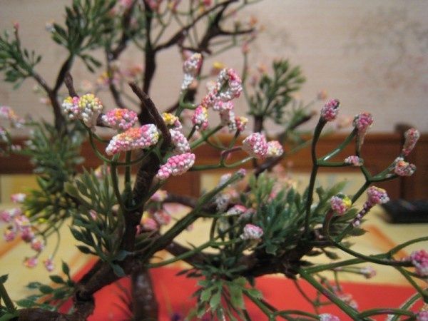 Fabrication d'arbres pour villages miniatures