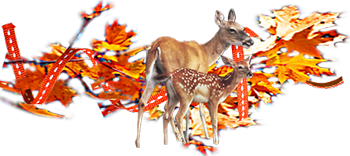 Fabrication d'arbres pour villages miniatures