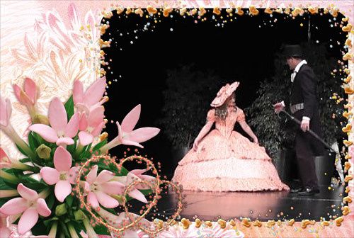 Elisabeth d'Autriche - Second Empire - 1854 à 1898