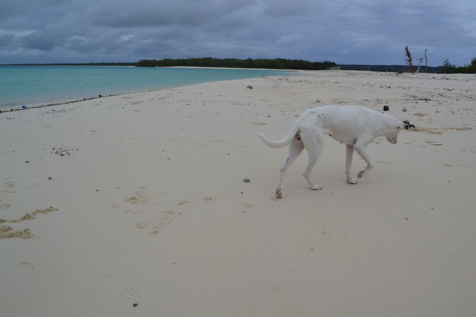 rencontre koumac