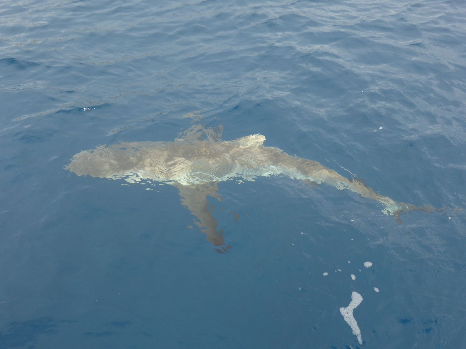 rencontre terre mer