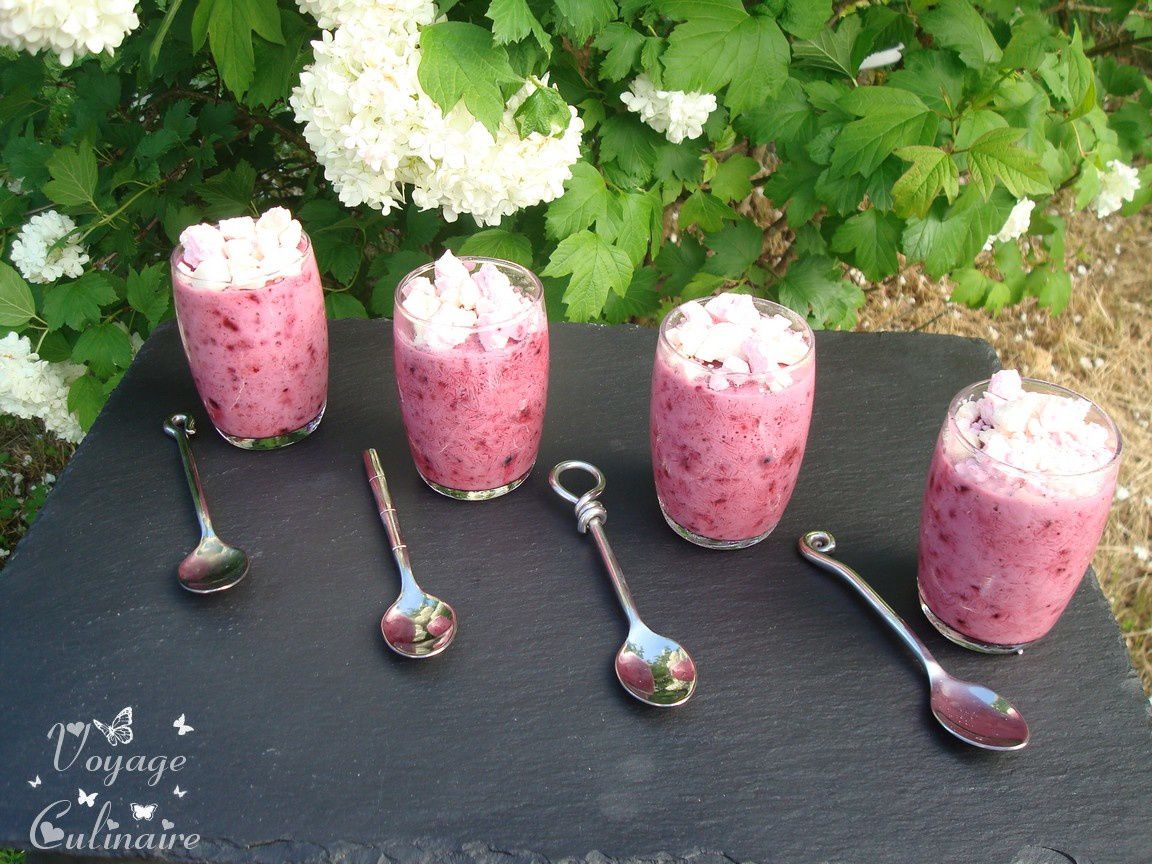 Frozen yaourt light aux fruits rouges - 1 pp