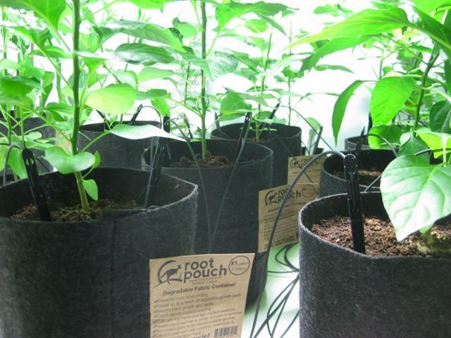 246L Géotextile Smart grow Pot déco container 5 Root Pouch marron poignées