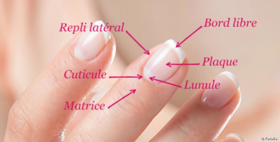 Comment éviter les petites peaux autours des ongles ?! - Notre Ptit' Monde
