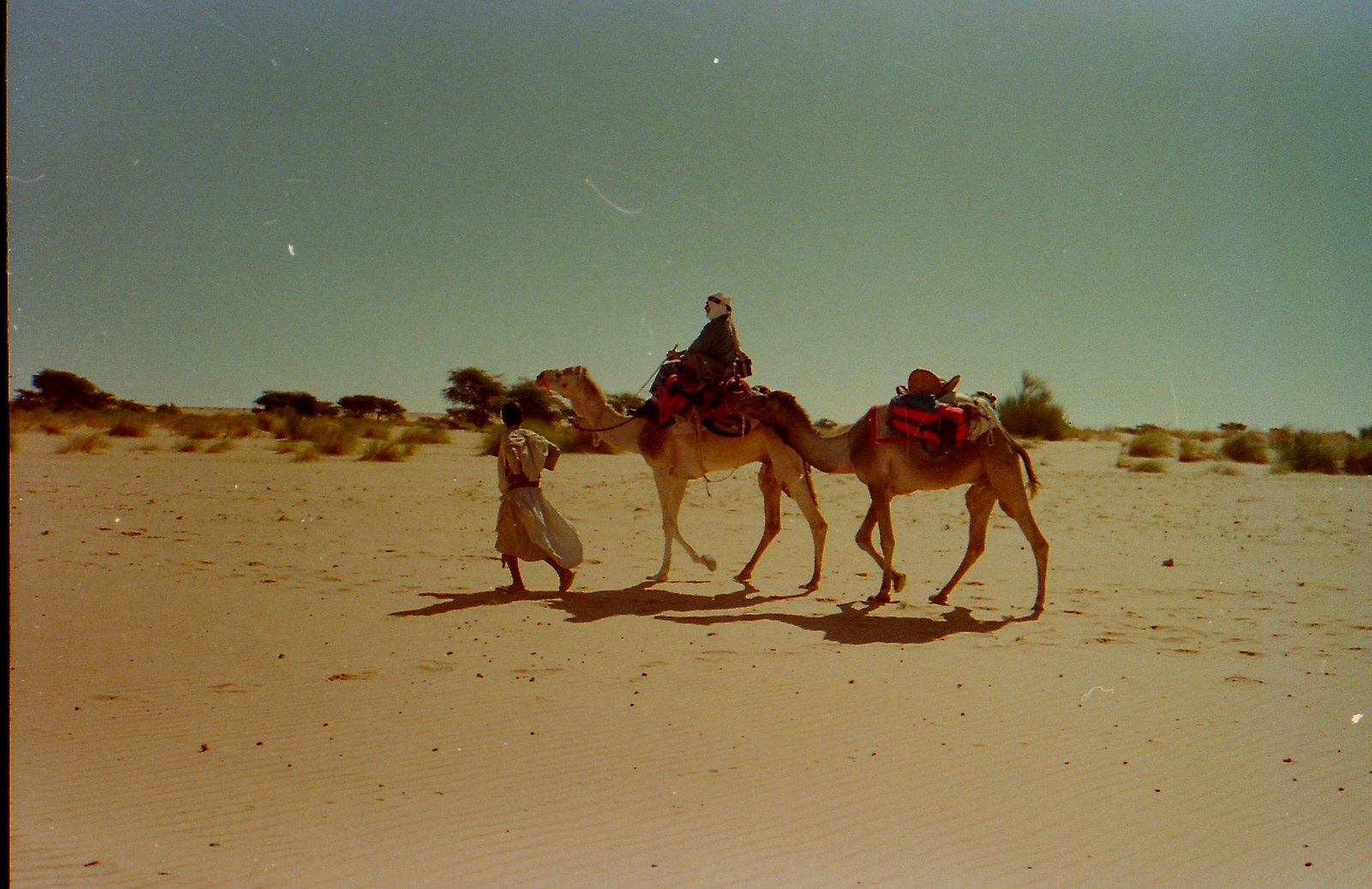 rencontres mauritanie