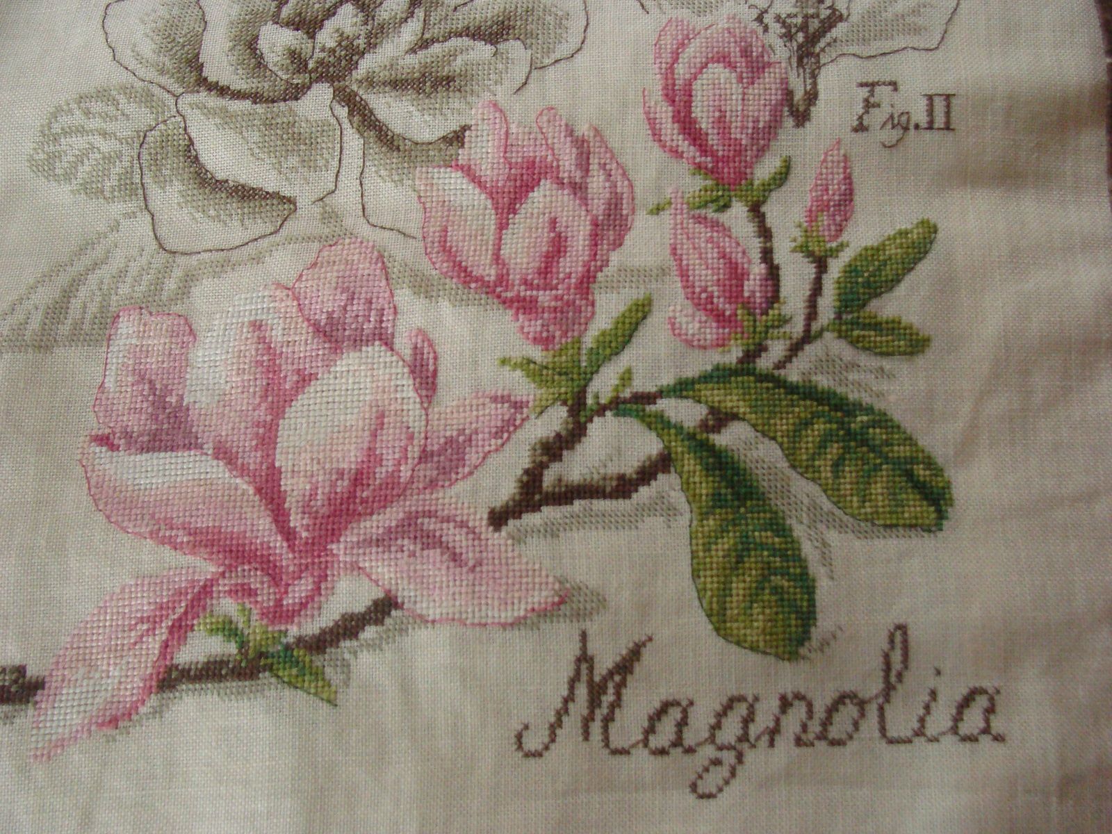 le magnolia