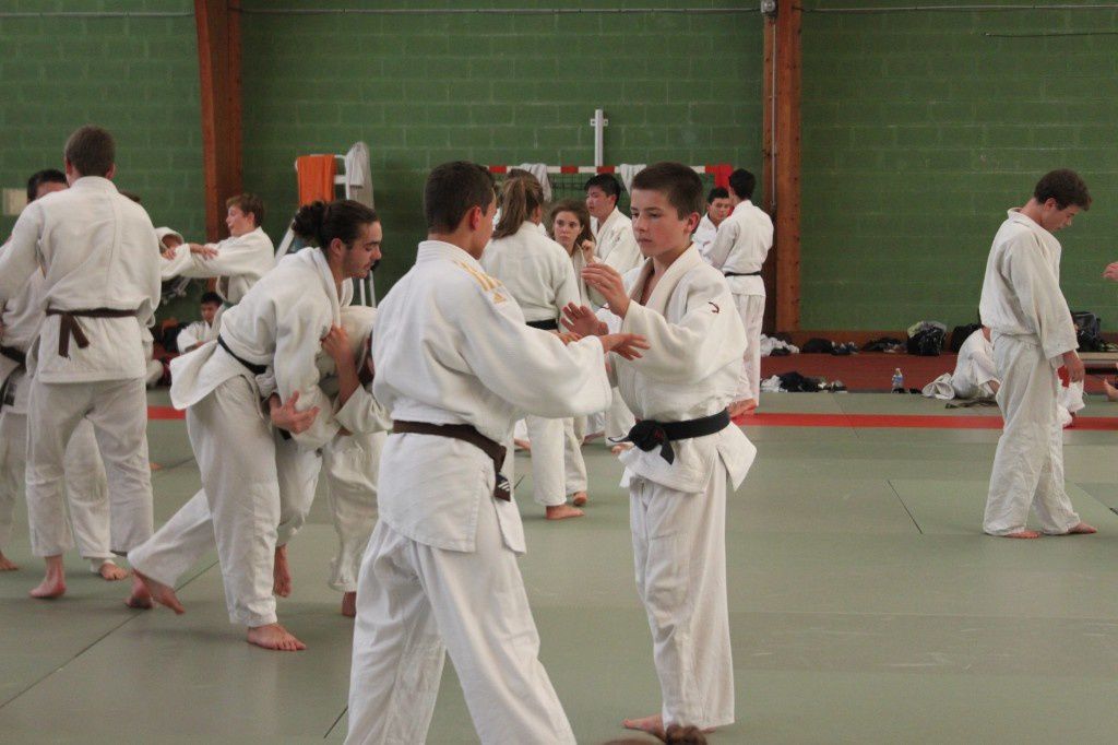 Quelques photos lors des séances de judo