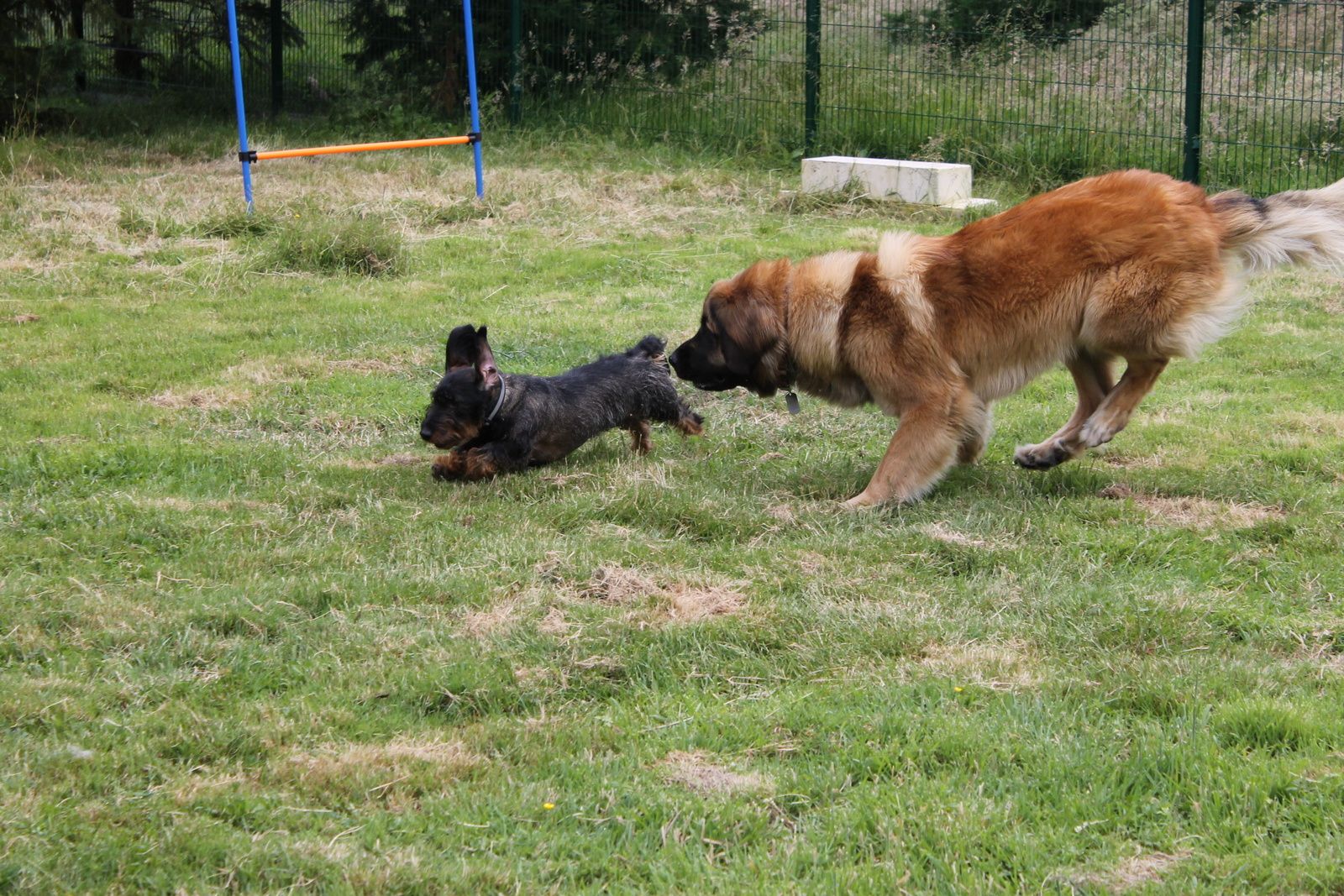 site de rencontres pour cavaliers