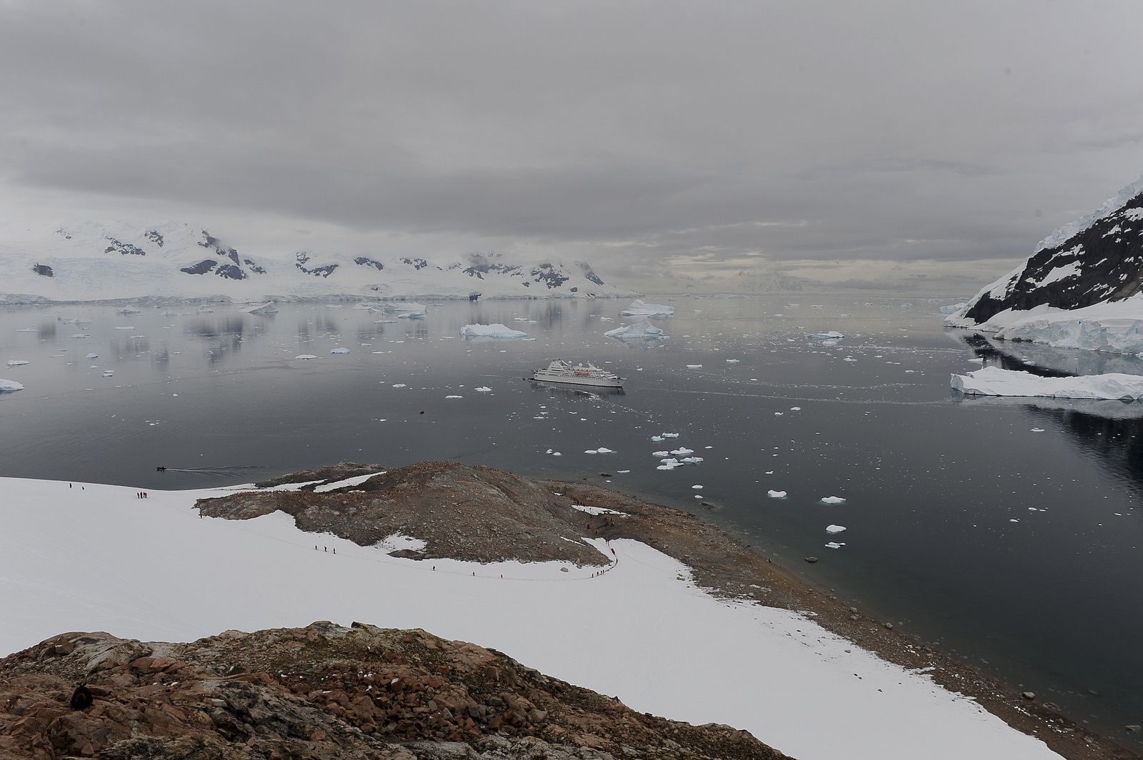 Antarctique-J8: Neko Harbor- Détroit de Gerlache
