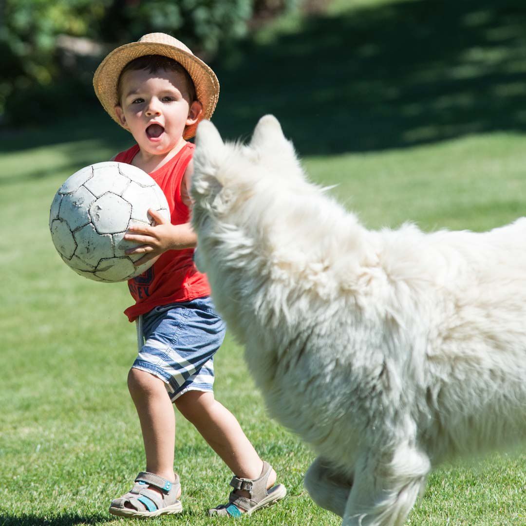 Raphaël, son ballon et le chien
