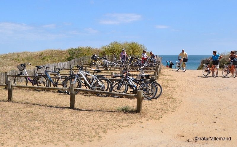 Die Insel Yeu Willkommen in la Tranche
