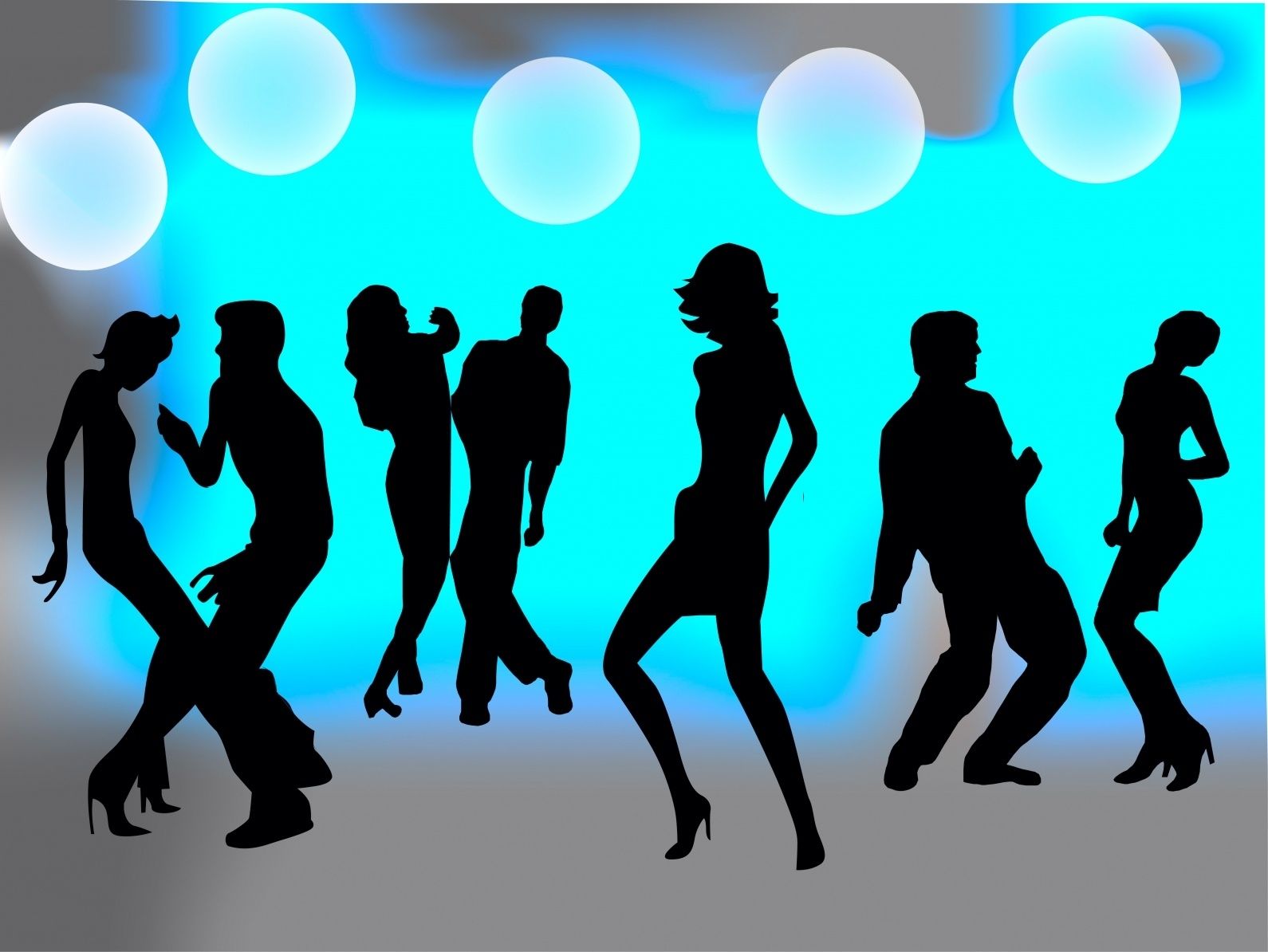 LE FRANCE DISCO le france disco:
