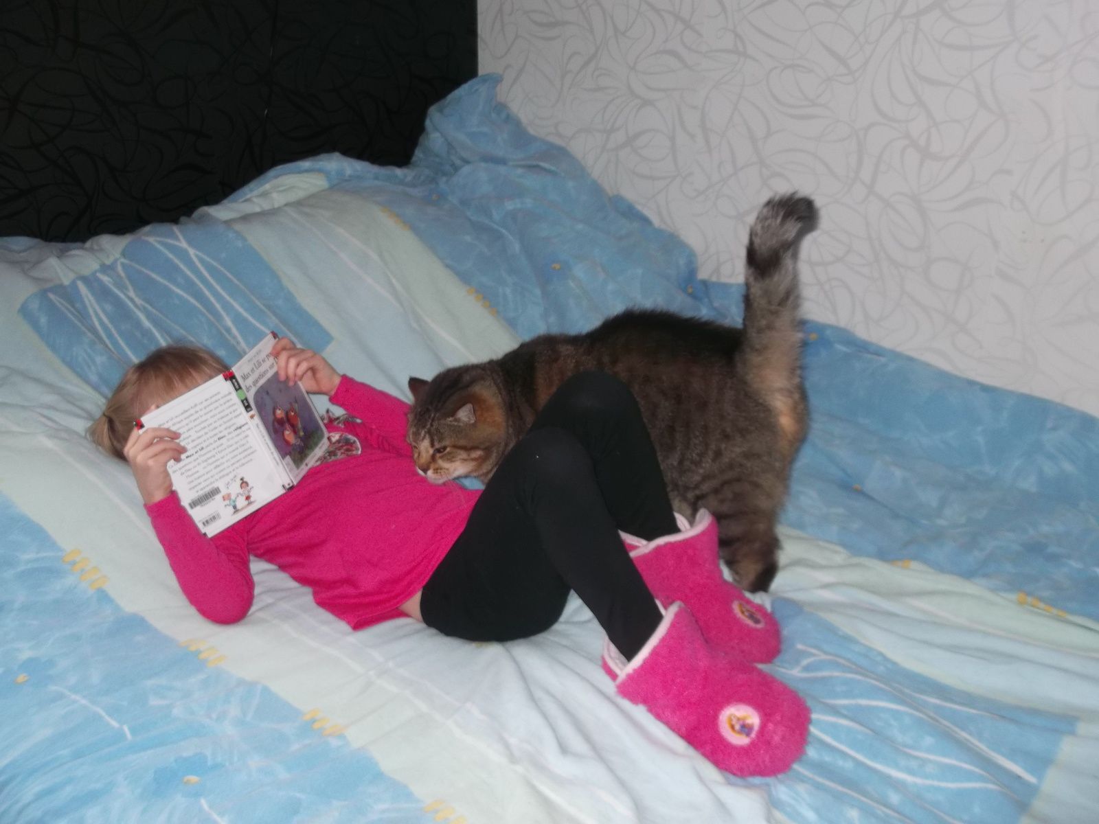Lily lit un livre a chaton - Le monde de la ptite caro