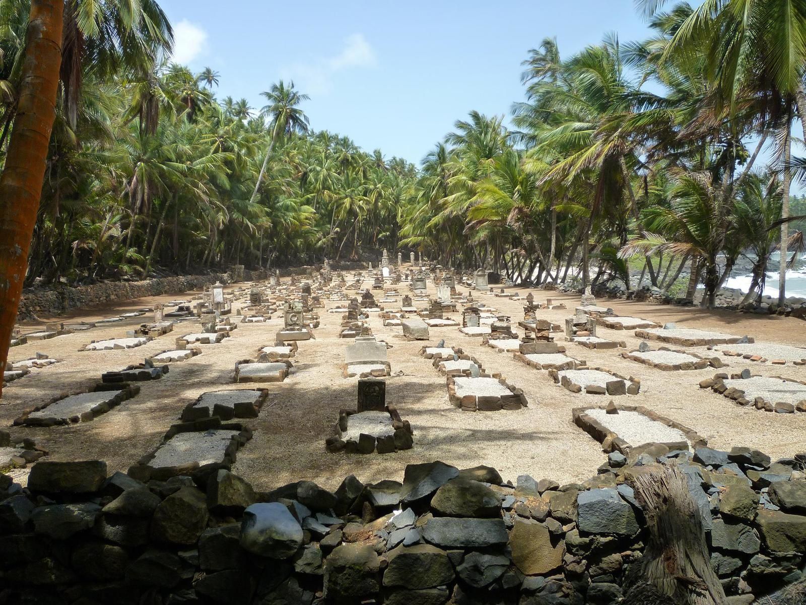 Papillon Bagne De Cayenne Literacy Basics
