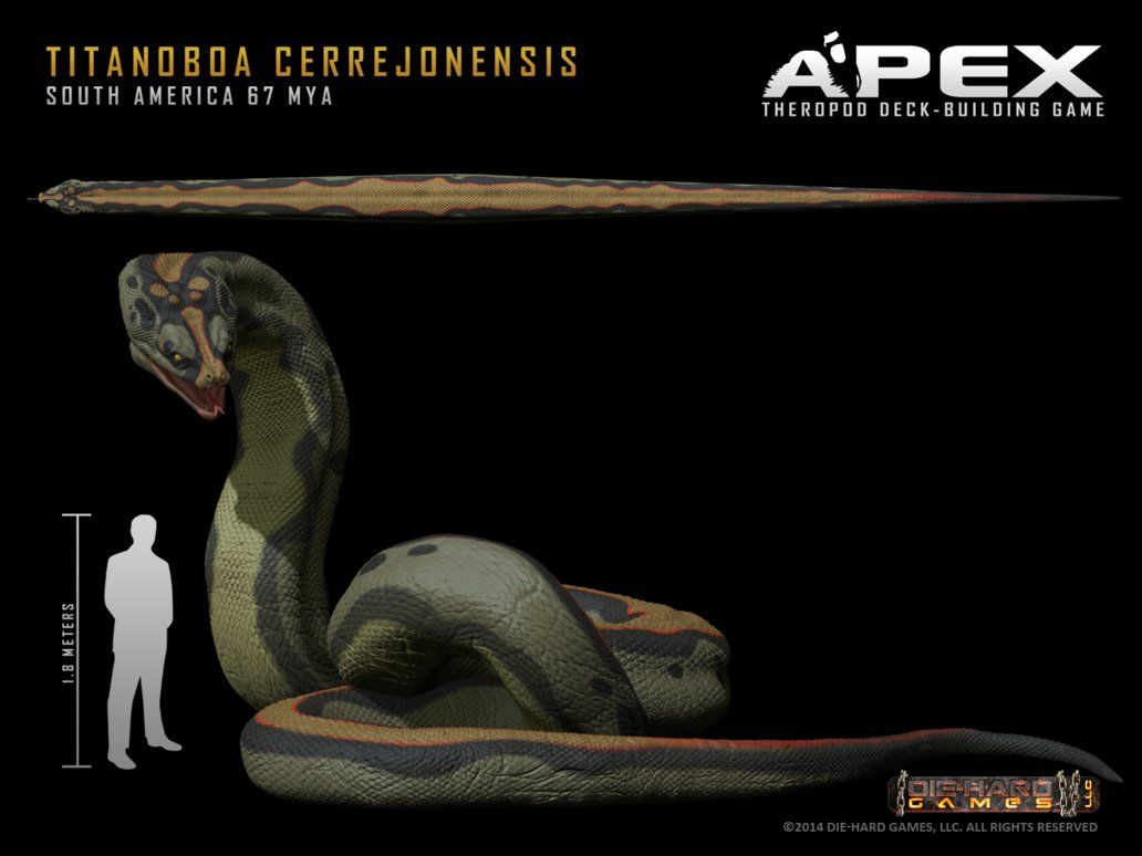 Titanoboa Le Plus Grand Serpent Du Monde Titanoboa Le Plus Grand Serpent Du Monde | AUTOMASITES