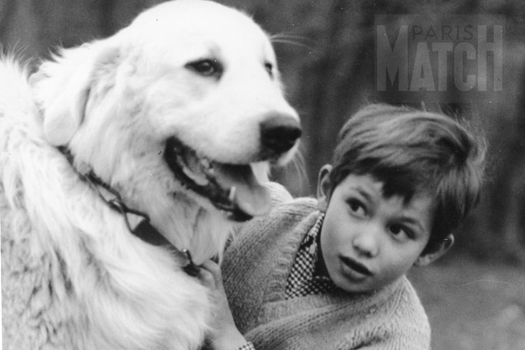 RÃ©sultat de recherche d'images pour "sÃ©rie televisÃ©e annee 1960 avec animaux"
