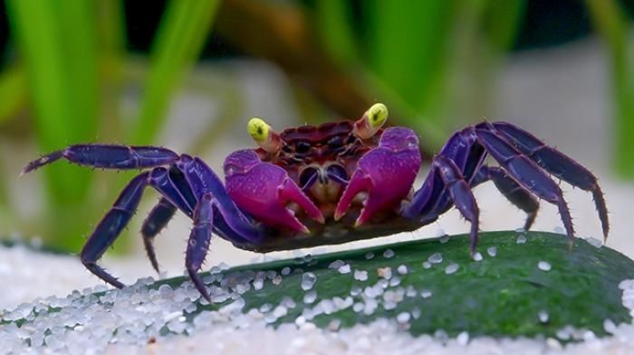 lieu rencontre homo noumea