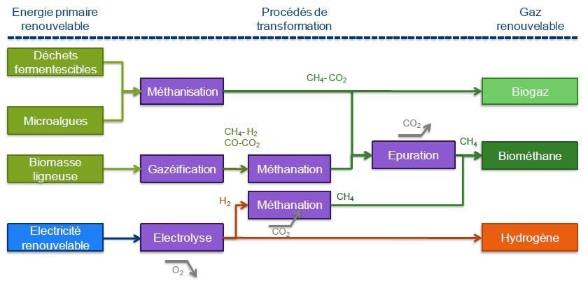 Les voies possibles de valorisation d'énergie primaire renouvelable en gaz renouvelable. Source: http://eleves-ose.cma.mines-paristech.fr/2013/commentaires_news.php?id=83
