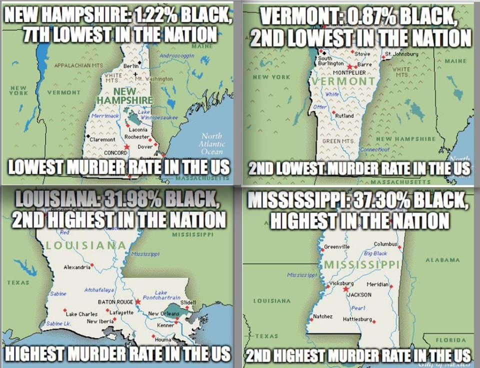 USA D'édifiantes statistiques comparant le nombre d'afroaméricains