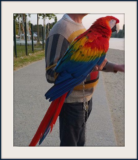 Opaline site de rencontre