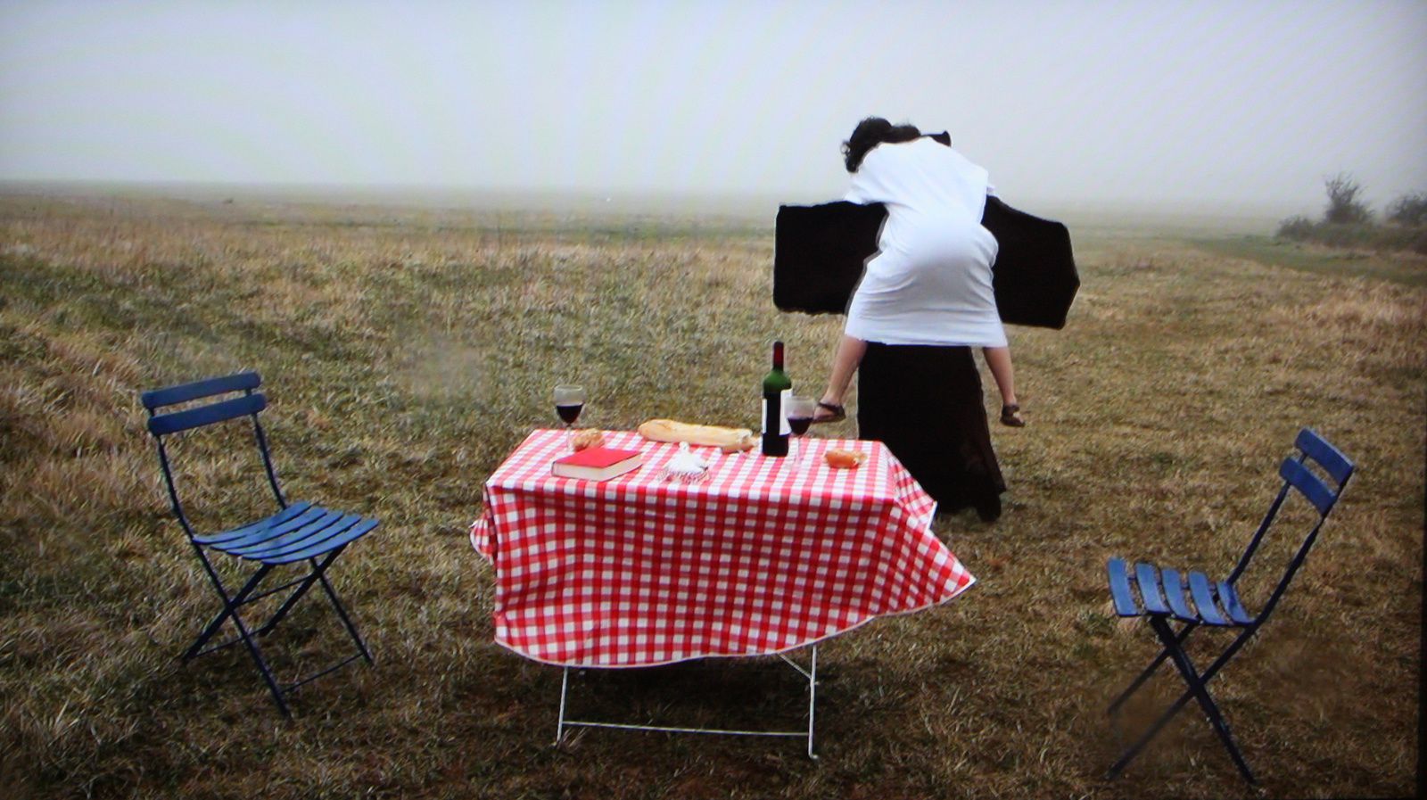 Vidéo "le gros calin", 2014 de Louise PRESSAGER