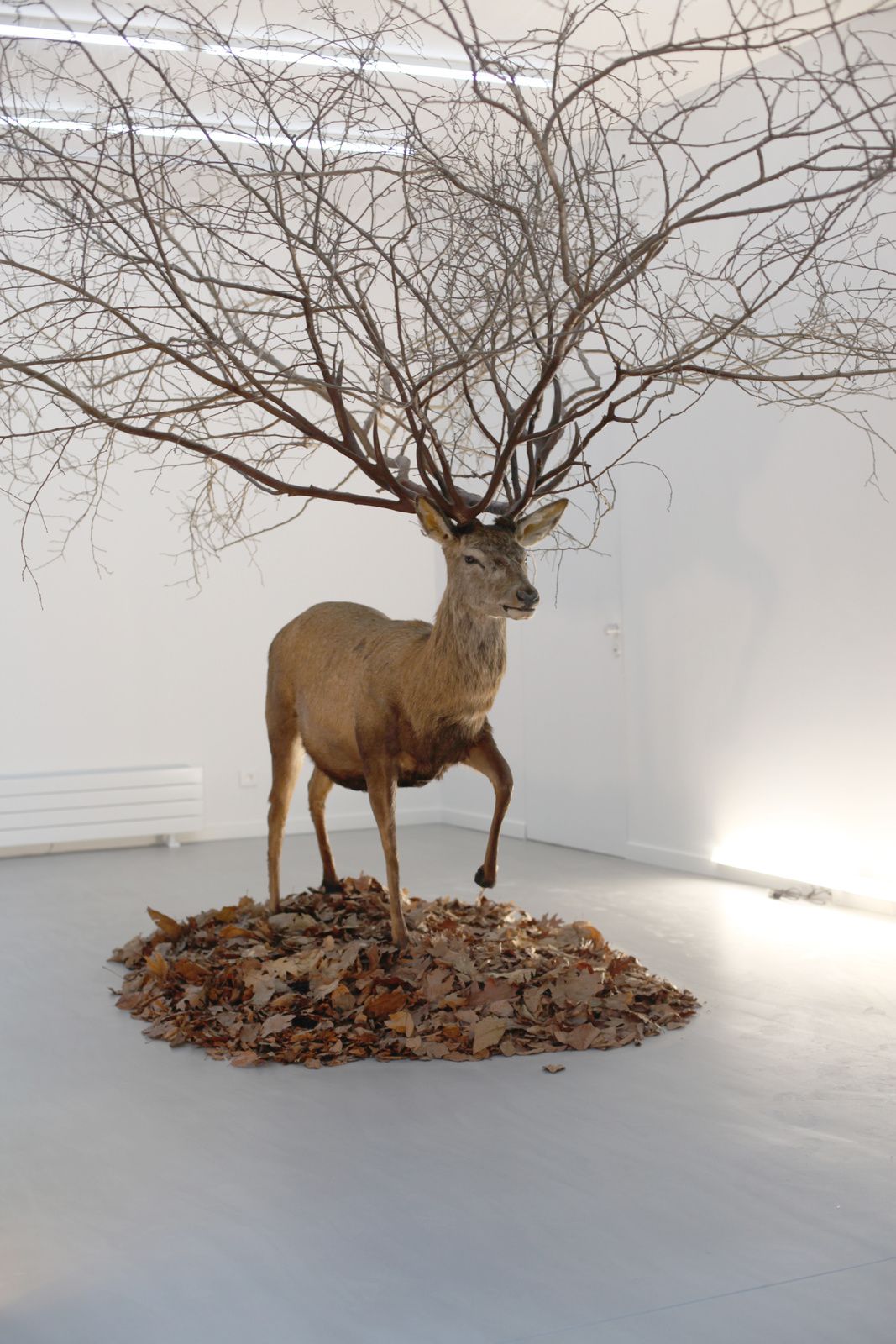 "Deer",2013 de Myeongbeom Kim Courtesy Galerie Paris-Beijing © Photo Éric Simon